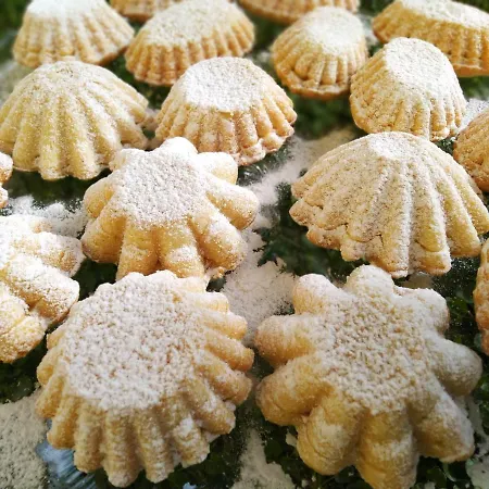 فندق Marina روزيتو ديلي أبروتسي