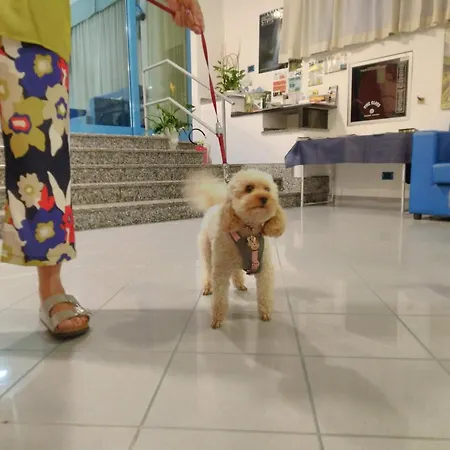 Marina فندق روزيتو ديلي أبروتسي