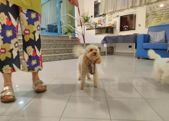 Marina Отель Розето-дельи-Абруцци