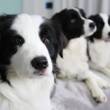 Marina Roseto degli Abruzzi