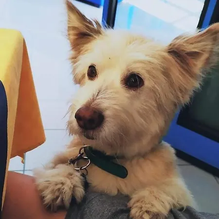 Marina Отель Розето-дельи-Абруцци