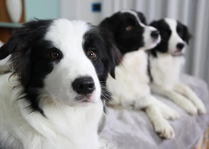 Marina Розето-дельи-Абруцци