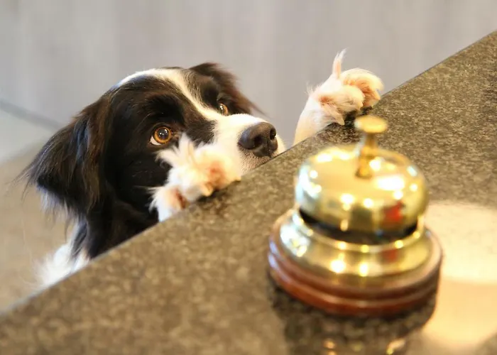 Marina Отель 3*