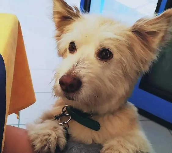 Marina Отель Розето-дельи-Абруцци