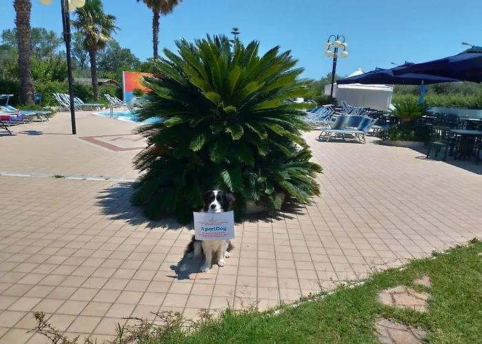 Marina 3* Roseto degli Abruzzi